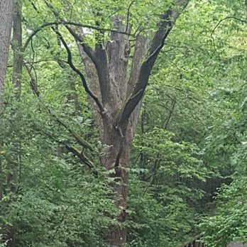 Red Oak Nature Center - Parks Near Me - Aurora, Illinois