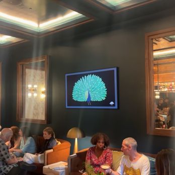 Pluma Lounge - Lounges Near Me - St. Petersburg, Florida