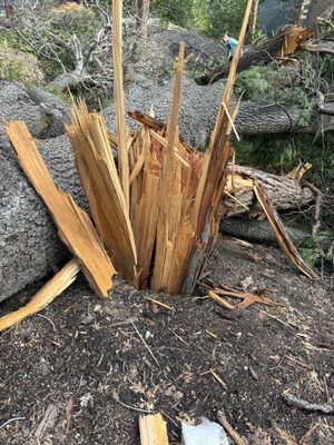This is why there are professionals - It was just like any other day as I was driving to one of my job sites that we were scheduled to complete that day when I was thinking, “wow, we haven’t had an emergency call in a while. “ later that afternoon noon I got the call. And the homeowner didn’t sound worried or concerned at all but stated it needed immediate attention. As I pulled up to the house I couldn’t see anything wrong from where I was ( other side of house down hill from disaster) knocked on door… homeowner called me and said he was up the street around the corner and as I drove up and stared to see the foliage and disarray of this scene I nearly hit a telephone pole and caused another emergency. I had never seen such a close call with the danger still illuminating in the air. A large oak broke about 20 feet from the ground with such force it completely took out a large cedar and continued to uproot another large oak tree that, by the grace of everything holy, was stopped and hung up in a cedar that had stress cracks flowing through it but managed to stop the domino effect. So I went to work. The first thing I did was secure the oak to the cedar at the point of contact so I can safely alleviate the wait from above that point where there was nothing for me to tie my lifeline into so I remained attached to the oak trees top, cut below me and rode the piece to the ground ( I definitely had to change my shorts after that one). Piece by piece we safely got the hazard to the ground with no further destruction and I declared the homeowners dwelling SAFE! This is why there are professionals - It was just like any other day as I was driving to one of my job sites that we were scheduled to complete that day when I was thinking, “wow, we haven’t had an emergency call in a while. “ later that afternoon noon I got the call. And the homeowner didn’t sound worried or concerned at all but stated it needed immediate attention. As I pulled up to the house I couldn’t see anything wrong from where I was ( other side of house down hill from disaster) knocked on door… homeowner called me and said he was up the street around the corner and as I drove up and stared to see the foliage and disarray of this scene I nearly hit a telephone pole and caused another emergency. I had never seen such a close call with the danger still illuminating in the air. A large oak broke about 20 feet from the ground with such force it completely took out a large cedar and continued to uproot another large oak tree that, by the grace of everything holy, was stopped and hung up in a cedar that had stress cracks flowing through it but managed to stop the domino effect. So I went to work. The first thing I did was secure the oak to the cedar at the point of contact so I can safely alleviate the wait from above that point where there was nothing for me to tie my lifeline into so I remained attached to the oak trees top, cut below me and rode the piece to the ground ( I definitely had to change my shorts after that one). Piece by piece we safely got the hazard to the ground with no further destruction and I declared the homeowners dwelling SAFE!