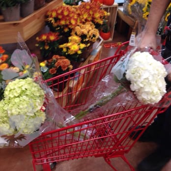 Trader Joe's - 5.99 hydrangea's! Awesome - Grocery Near Me - San Antonio, Texas Trader Joe's - 5.99 hydrangea's! Awesome - Grocery Near Me - San Antonio, Texas