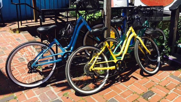 Provincetown Bike Rentals by null