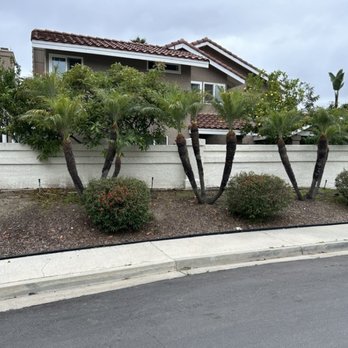 Lobato Landscaping - Original state of side yard. - Landscaping Near Me Lobato Landscaping - Original state of side yard. - Landscaping Near Me