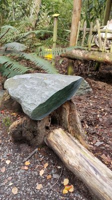 Kiwi Park Queenstown by null