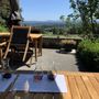 Averill Creek Vineyard