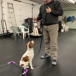Canine Academy - little bit of training never hurt any pup!