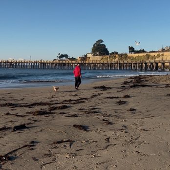 Capitola State Beach - Beaches Near Me - Capitola, California