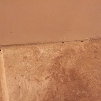 Empire Today - Holes in the brand new grout. - Flooring Near Me