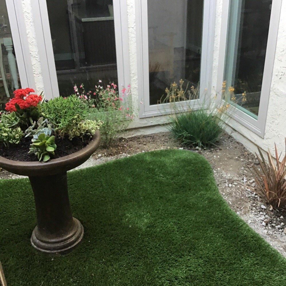 Future Turf - Artificial Turf Near Me - Newbury Park, California