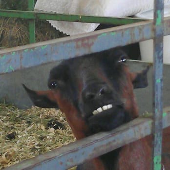 Utah State Fair - Amusement Parks Near Me - Salt Lake City, Utah