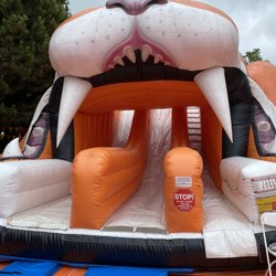 La Crescenta Pumpkin Patch - slides only in there