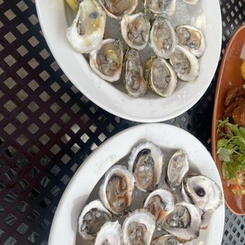 Noto Americano - Excellent oysters! - New American Near Me - Plantsville, Connecticut