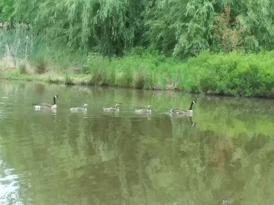 Northern Fauquier Community Park by null