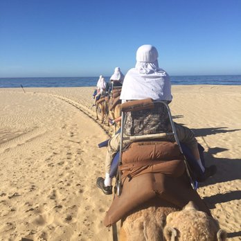 Cabo Adventures - Boat Tours Near Me - Cabo San Lucas, BCS Cabo Adventures - Boat Tours Near Me - Cabo San Lucas, BCS