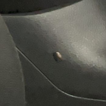 Hui Car Share - Roaches, Drive Hui - Car Share Services Near Me - Honolulu, Hawaii