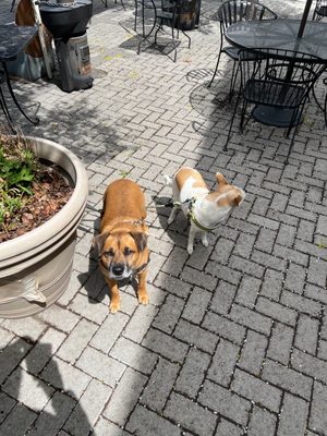 Strictly Organic by null