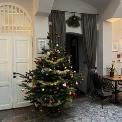 Hotel Residence Agnes - Adorable, hand decorated Christmas tree in front lobby!