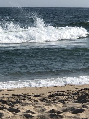 Sea Crest Resort by null