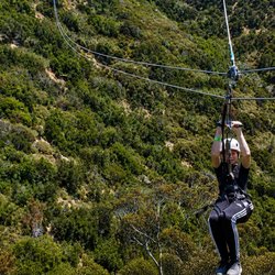 Catalina Eco Zip Line Tours