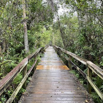 Big Cypress Bend Boardwalk - Boardwalk - Parks Near Me - Naples, Florida