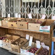 【supermarket】class / CCES08UNI A 180s.jpg