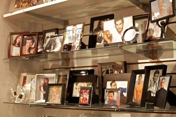 Delphinium Home by null