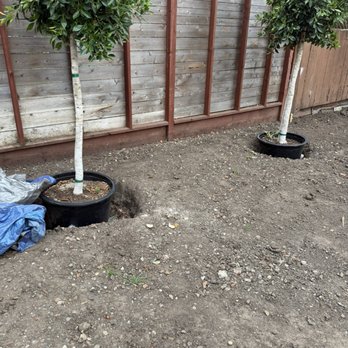 Reborn Lawns - Artificial Turf Near Me