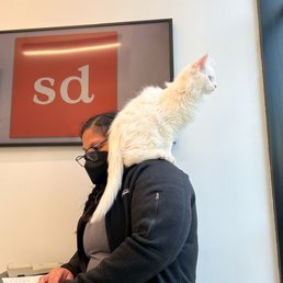 Safe to say Lazzarus felt fine with making himself right at home during his first exam! Safe to say Lazzarus felt fine with making himself right at home during his first exam!