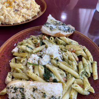 Raptor Canyon Cafe - Basil pesto chicken penne! - Cafes Near Me - Tucson, Arizona Raptor Canyon Cafe - Basil pesto chicken penne! - Cafes Near Me - Tucson, Arizona