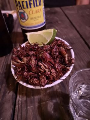 Mezcaleria La Miserable by null