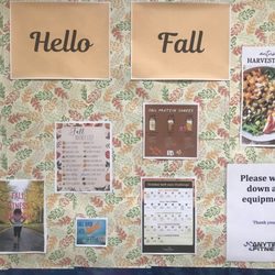 Anytime Fitness - Fall Wall