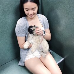 Petland Cincinnati Fairfield - Get you a boo that looks at you the way the dog looks at me :)