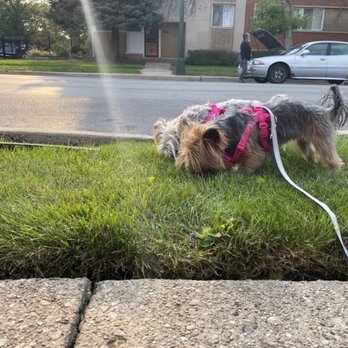 Bark N Unity - Pet Sitting Near Me