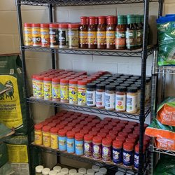 BBQ Grills & More