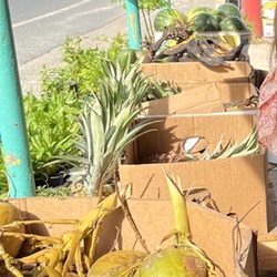 La Placita de Jauca - The produce