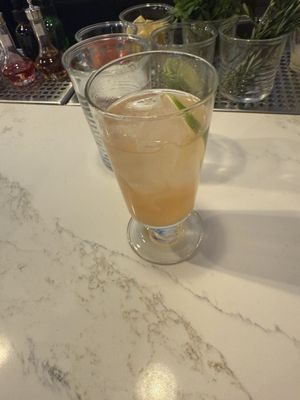 The Little Lark by null