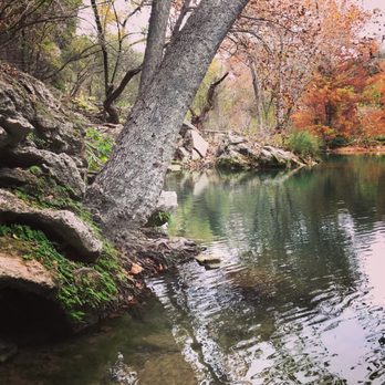 Hamilton Pool Preserve - Parks Near Me - Dripping Springs, Texas Hamilton Pool Preserve - Parks Near Me - Dripping Springs, Texas