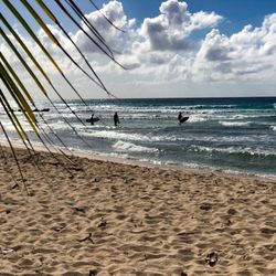 Surf Tribe Escapes