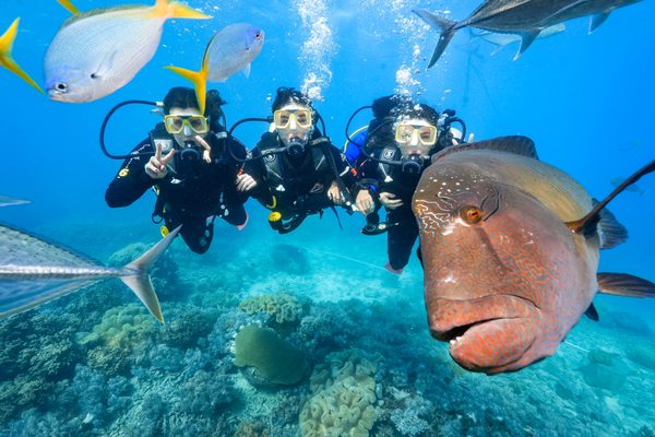 Sunlover Reef Cruises by null