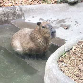 Akron Zoo - Zoos Near Me - Akron, Ohio