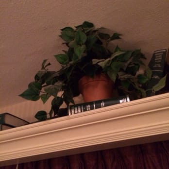 The Grand Summit Hotel - Can see the dust on the leaves..I don't have allergies and I couldn't stop sneezing. - Hotels Near Me - Summit, New Jersey