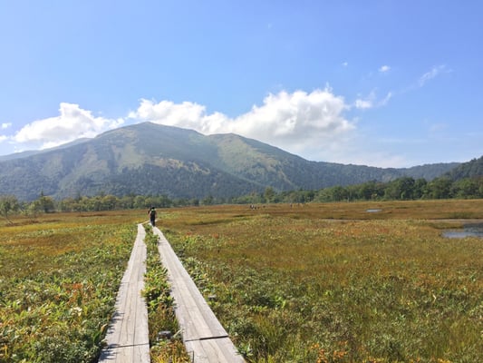 Oze National Park by null