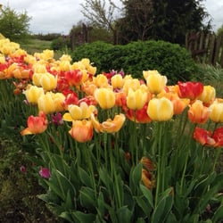 Skagit Acres - Beautiful!