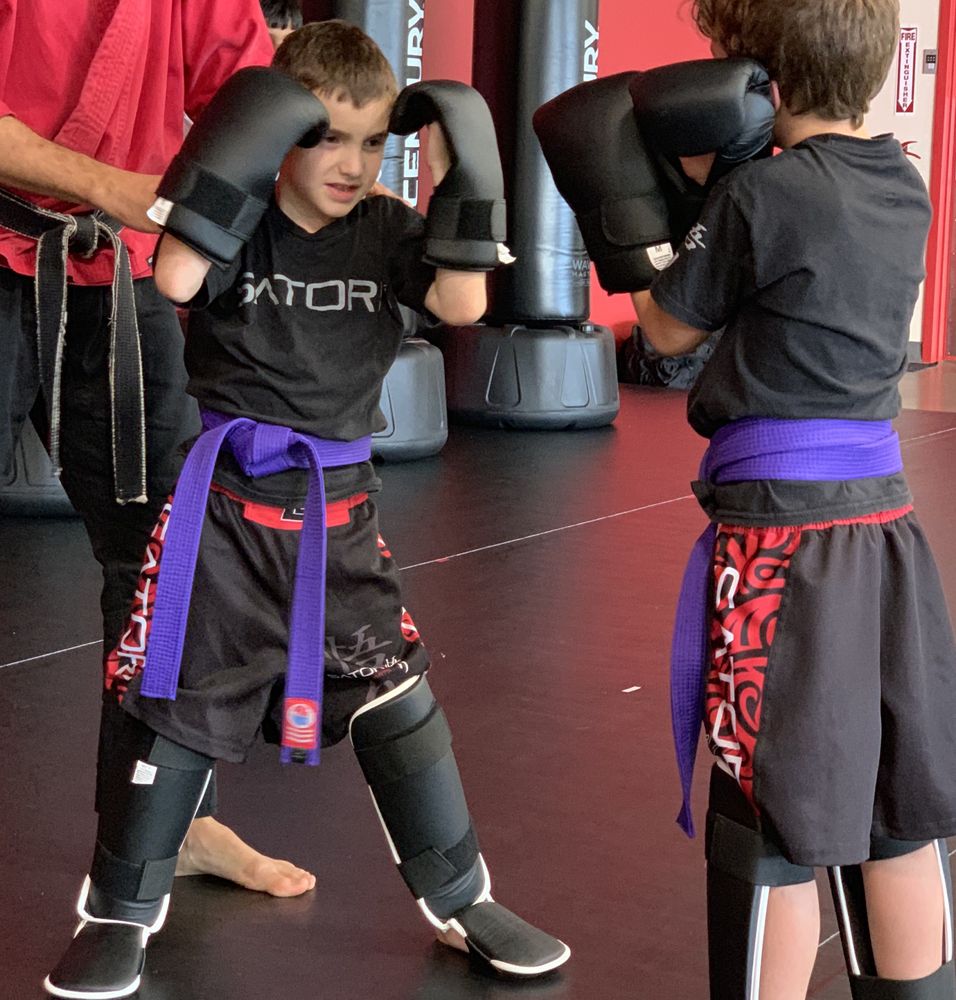 SATORI ACADEMY OF MARTIAL ARTS Updated October 2024 18 Photos 310
