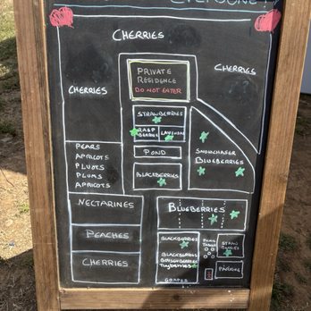 Daisy Creek Farms - Pick Your Own Farms Near Me - Galt, California