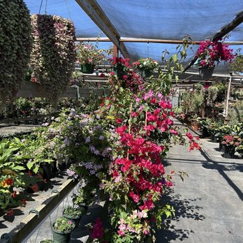 El Capulin Nursery - Nurseries & Gardening Near Me - Watsonville, California El Capulin Nursery - Nurseries & Gardening Near Me - Watsonville, California