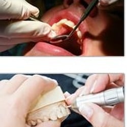 Robert Garfinkel, DMD - Allerton Dental