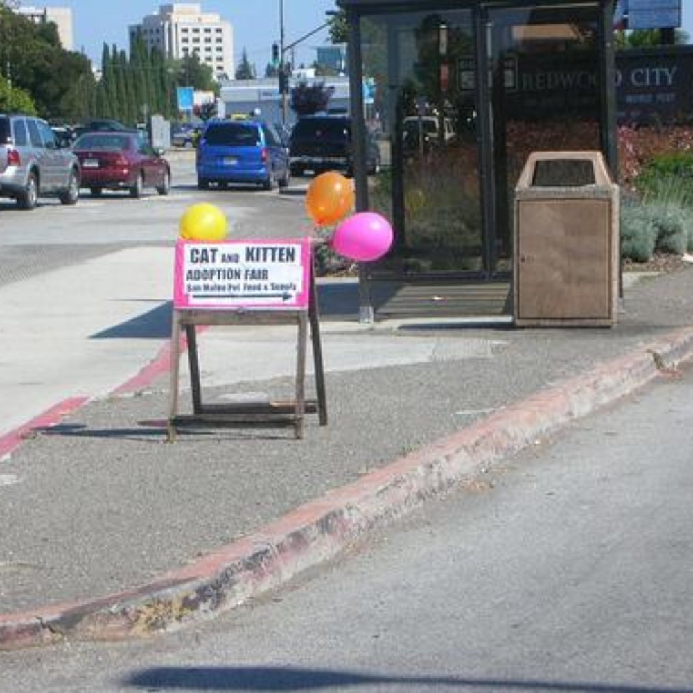 Peninsula Feed Store - Come check out the Homeless Cat Network adoption fairs, usually held on the first and third Saturday of every month. - Livestock Feed & Supply Near Me - Redwood, California Peninsula Feed Store - Come check out the Homeless Cat Network adoption fairs, usually held on the first and third Saturday of every month. - Livestock Feed & Supply Near Me - Redwood, California