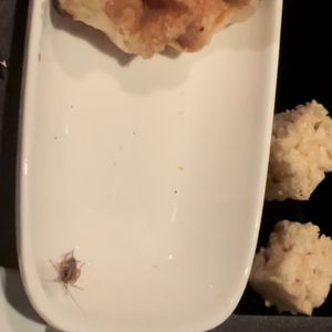 Photo of The Melting Pot - Arlington, VA, United States. Live Roach we found while eating our dessert
