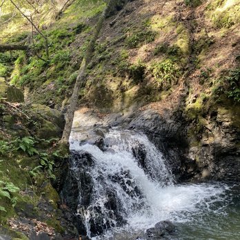 Uvas Canyon County Park - Parks Near Me - Morgan Hill, California