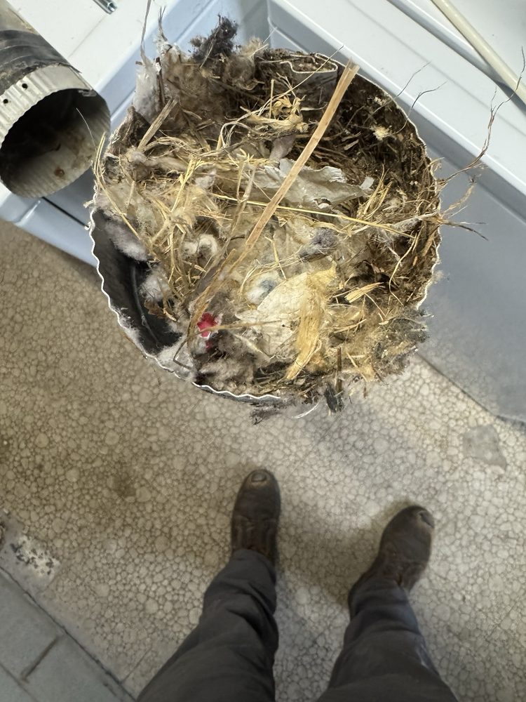 Slide of Picciones Heating and Cooling